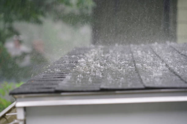 Best Roof Insulation Installation  in Snellville, GA