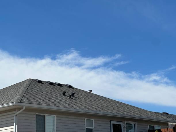 Best Skylight Installation and Repair  in Snellville, GA
